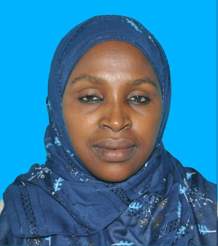 Eng. Mwanaisha Hamis Salum